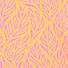 Orange Peel/Hot Pink
