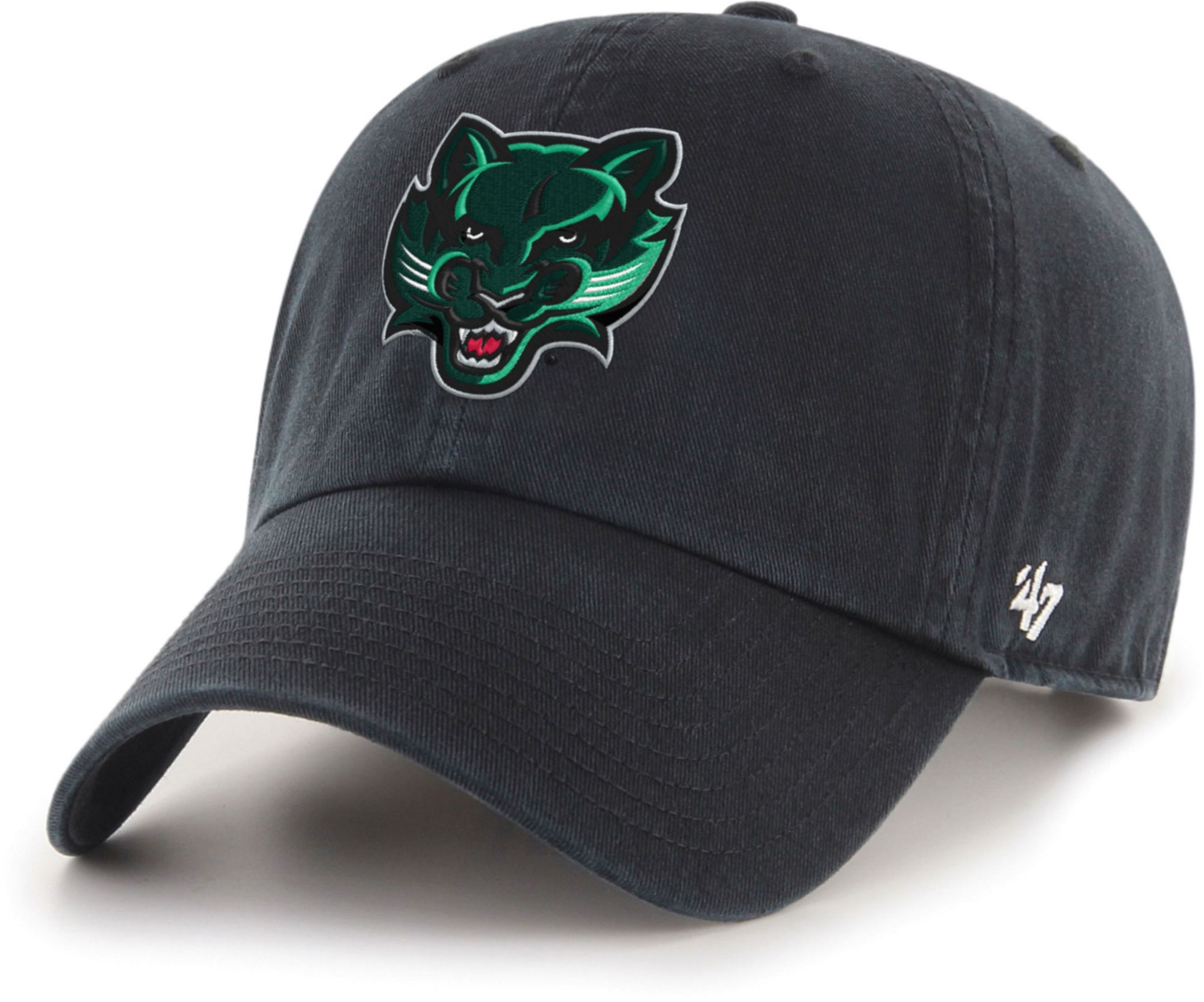 Binghamton Bearcats