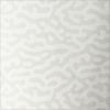 White Haze Hyperchromic