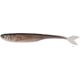 Live Minnow
