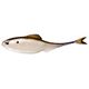4K Shad