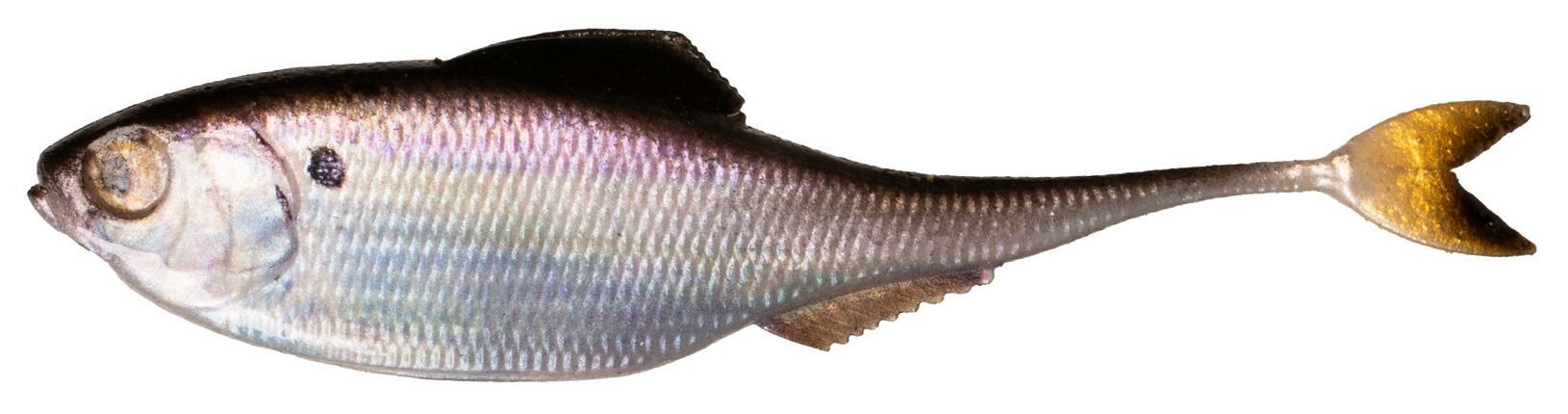 6th Sense Fiction Shad Softbait