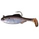 Live Gizzard Shad