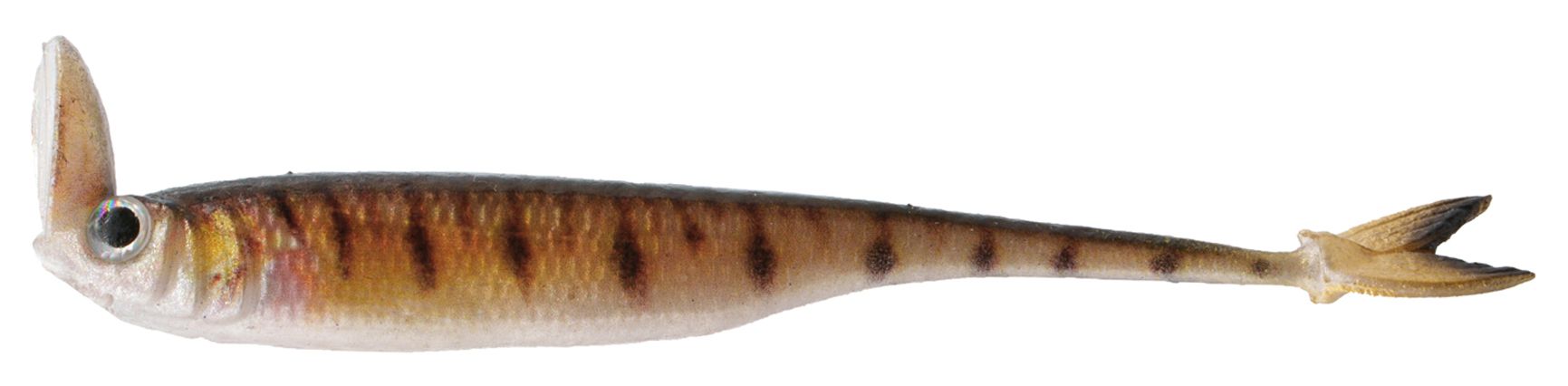 6th Sense Strobe Shaker Minnow Swimbait