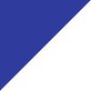 Bold Blue/White