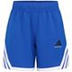 Team Royal Blue