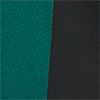 Collegiate Green