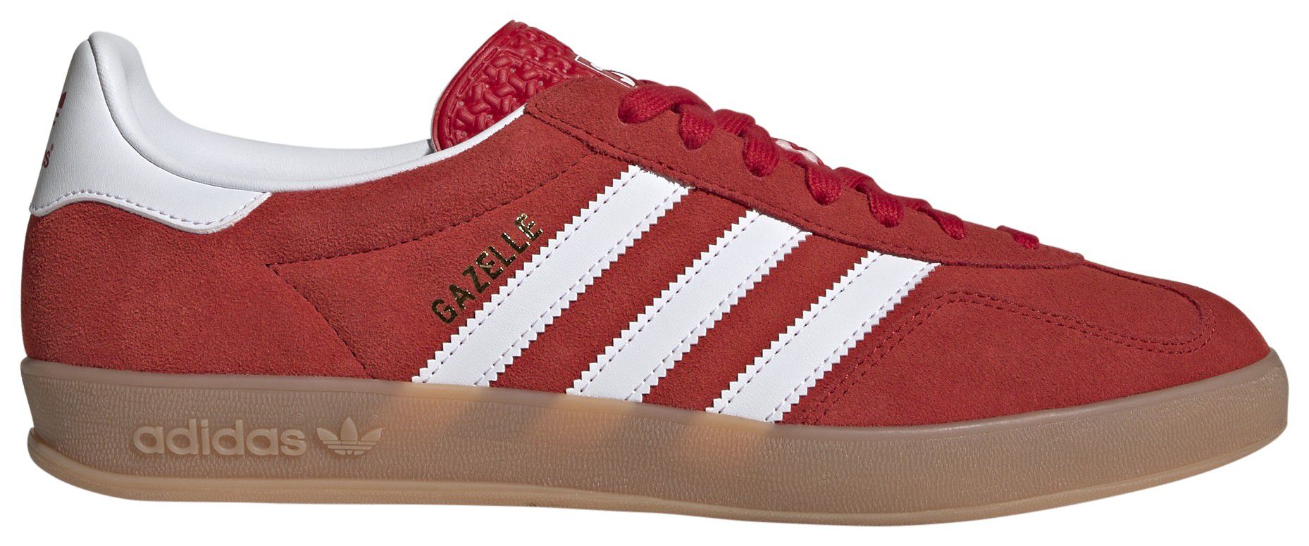 Gazelle Indoor