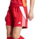 Team Power Red/White