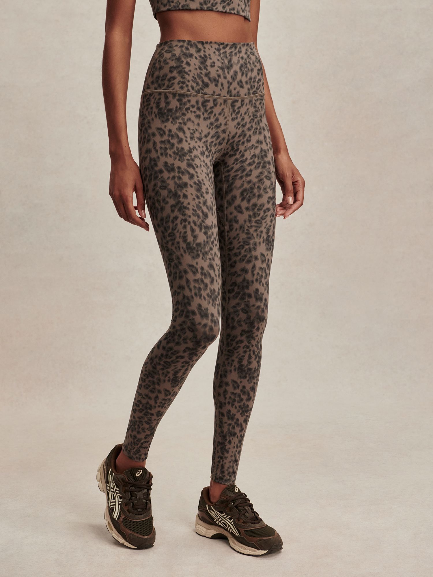 Brown Contrast Cheetah