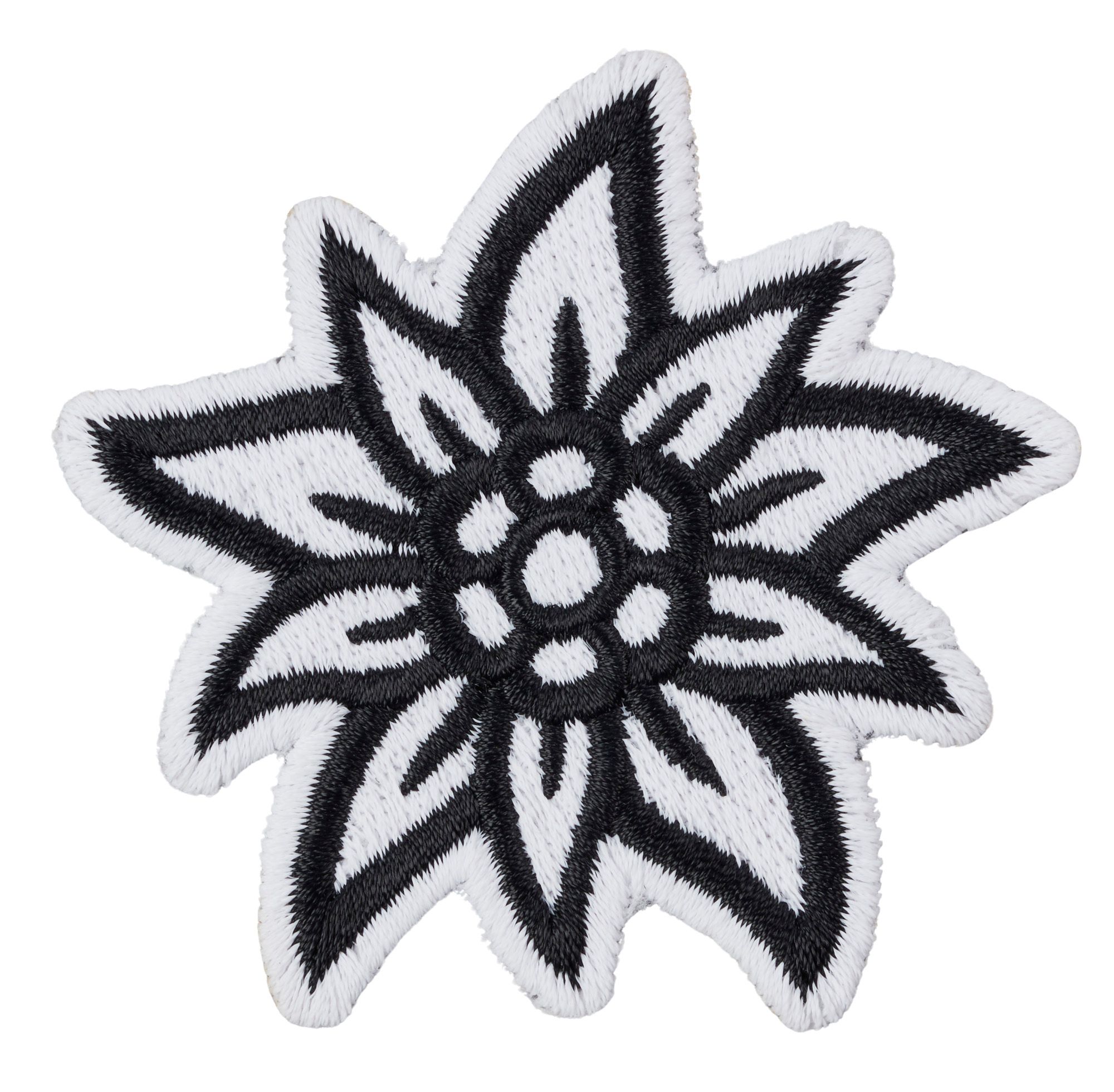 Snow Edelweiss