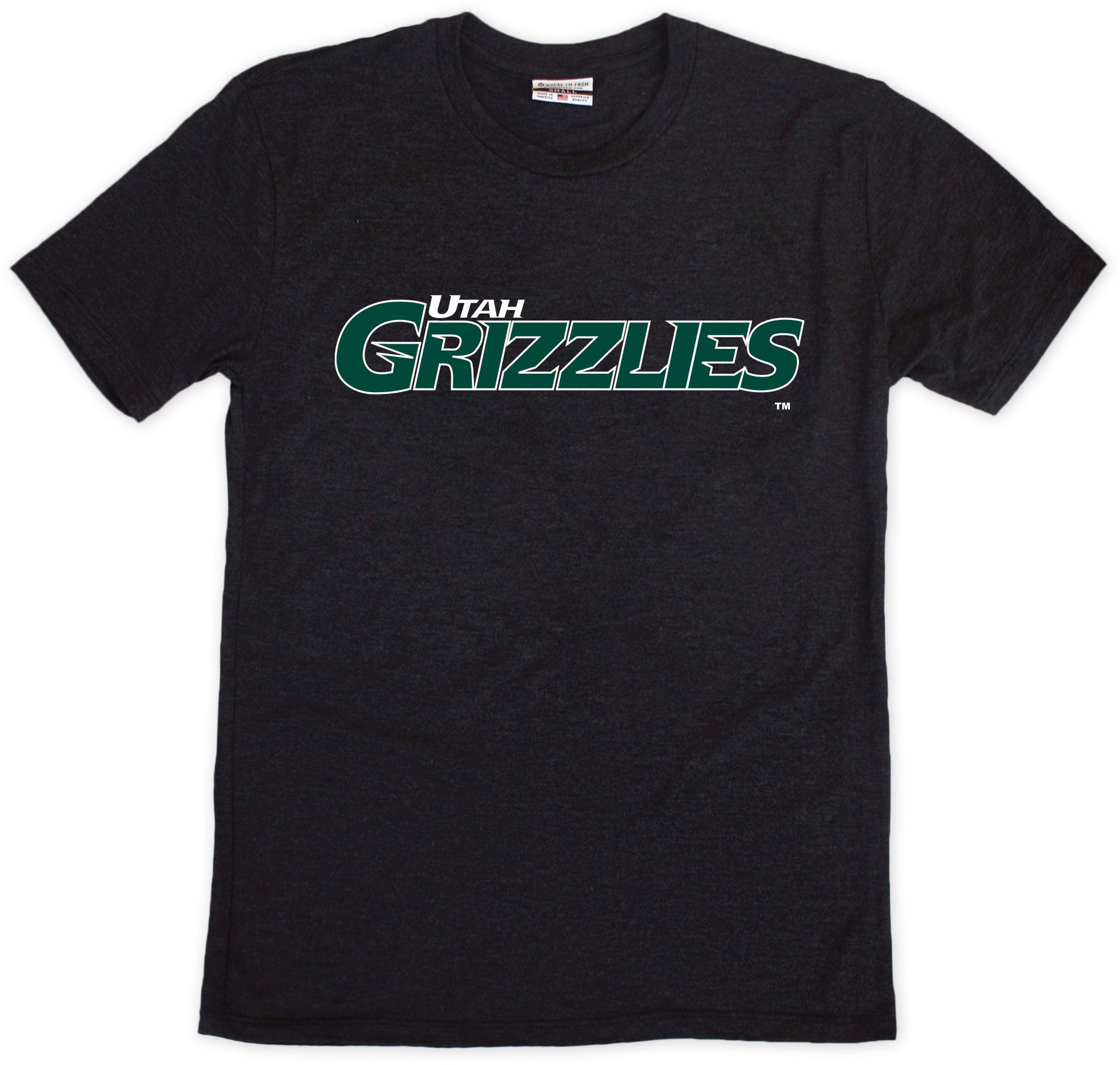 Minor League Hockey 