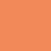 Burnt Orange/White
