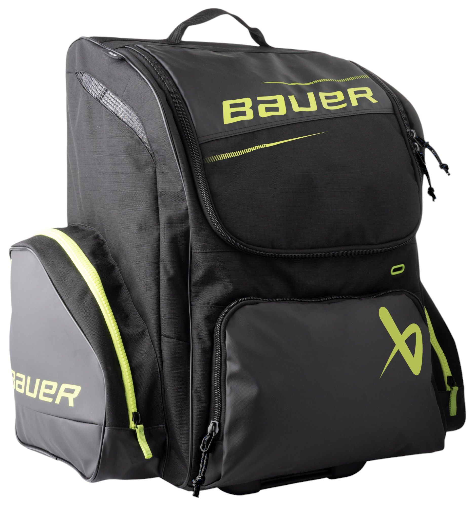 Bauer