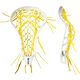 White/Yellow