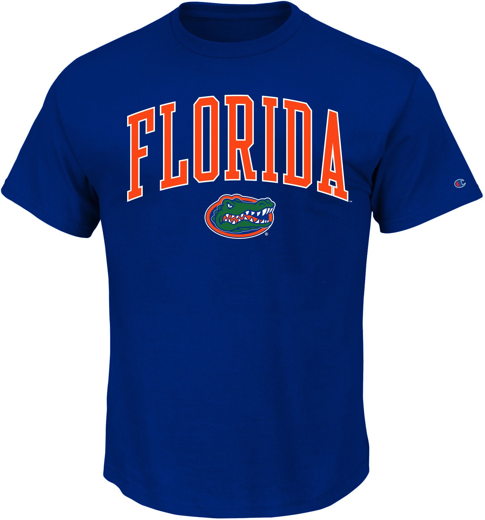 Champion Men's Big &amp; Tall Florida Gators Royal T-Shirt