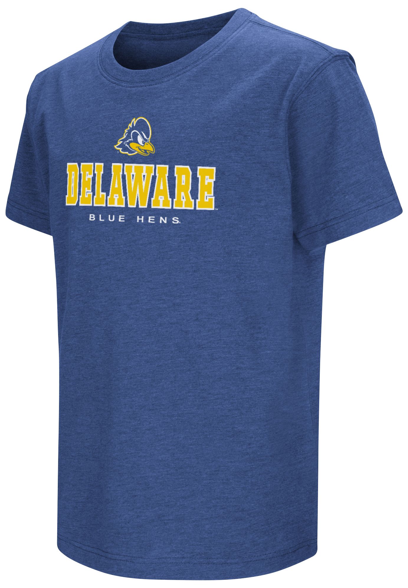 Delaware Fightin' Blue Hens