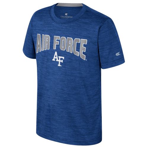 Nike Youth Air Force Falcons Royal Cotton Stripe T-Shirt Dick's