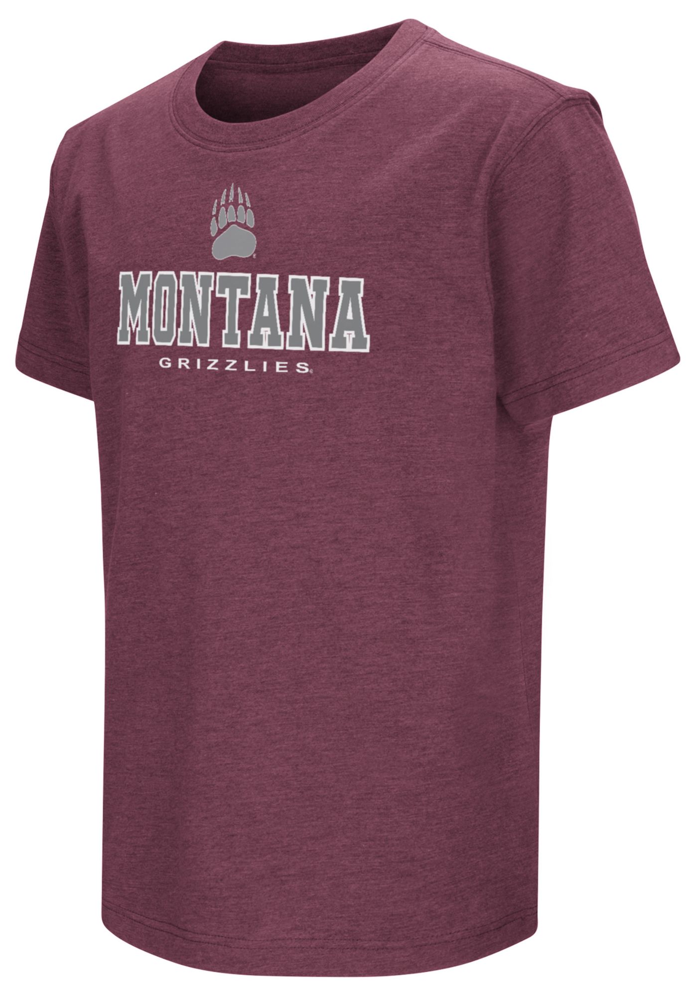 Montana Grizzlies