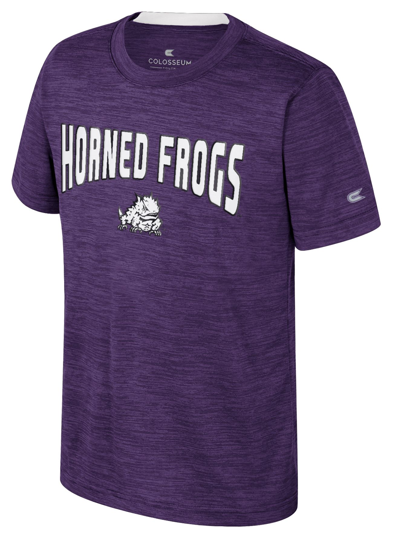Colosseum Youth TCU Horned Frogs Purple Rylos T-Shirt