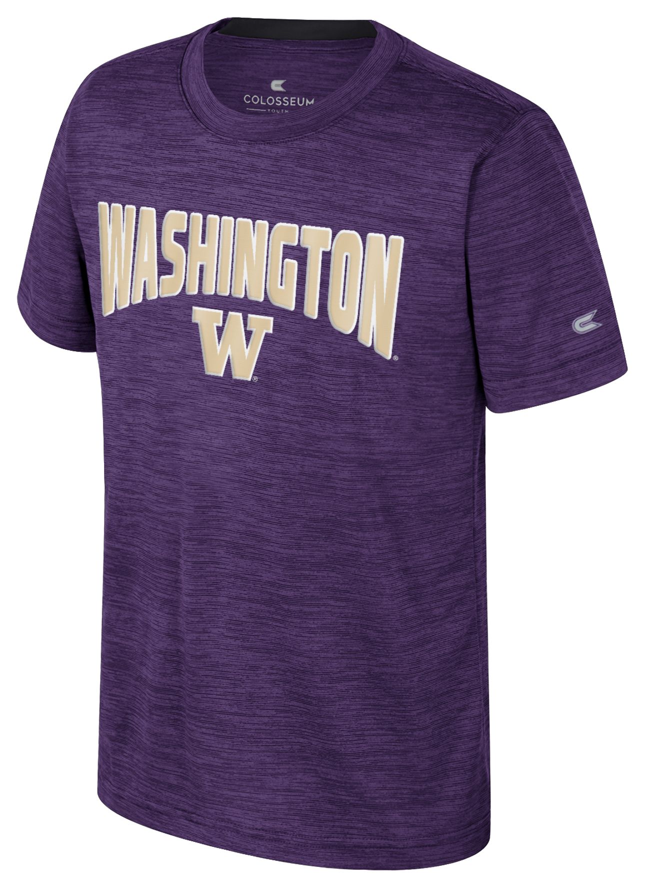 Colosseum Youth Washington Huskies Purple Rylos T-Shirt