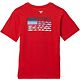 Red Spark/Fish Flag Fade