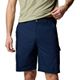 Collegiate Navy