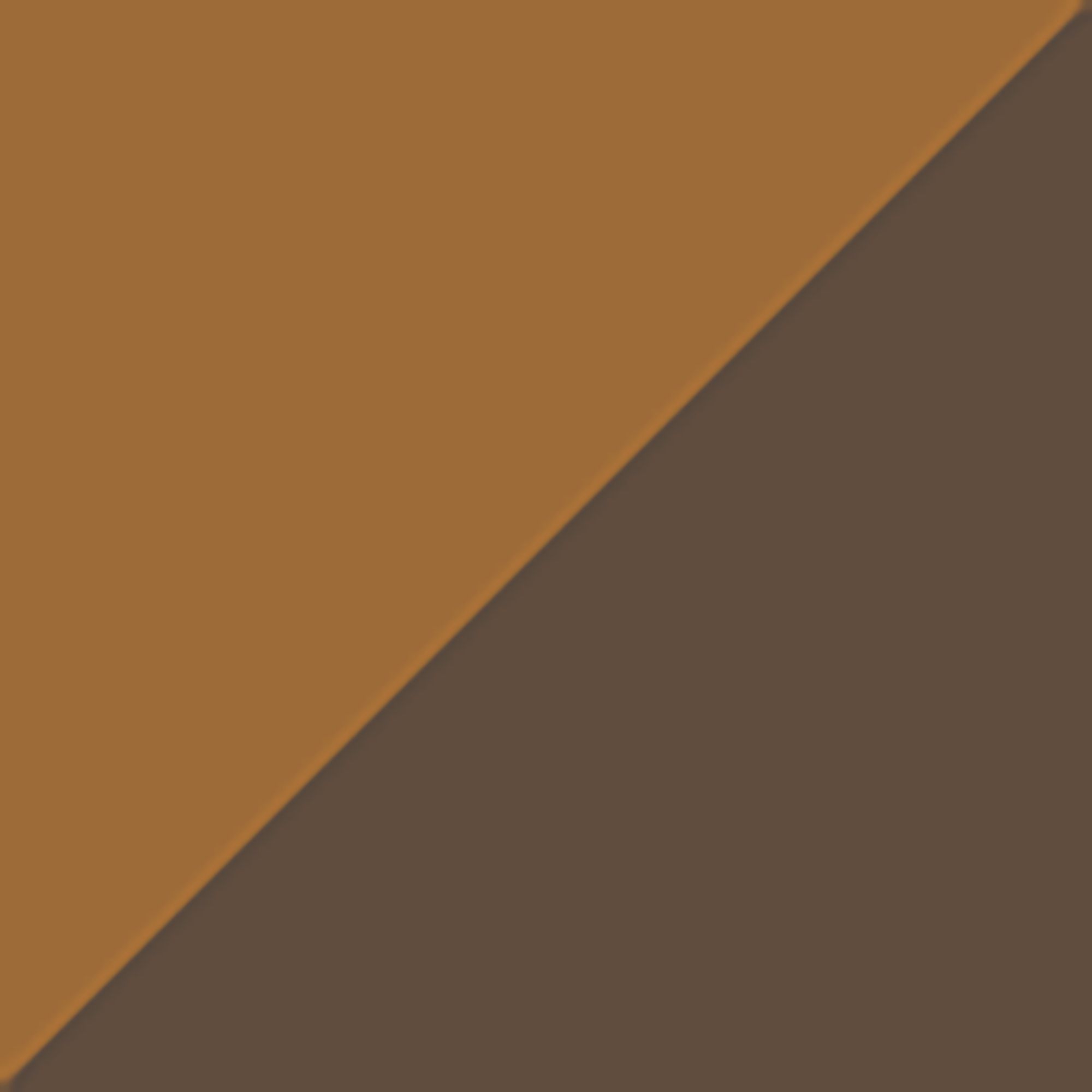 Carhartt Brown/Coffee