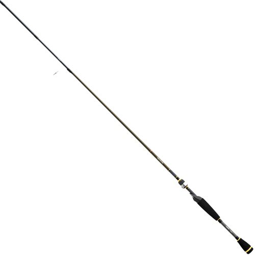 13 Fishing Fate V3 Spinning Rod | Dick's Sporting Goods