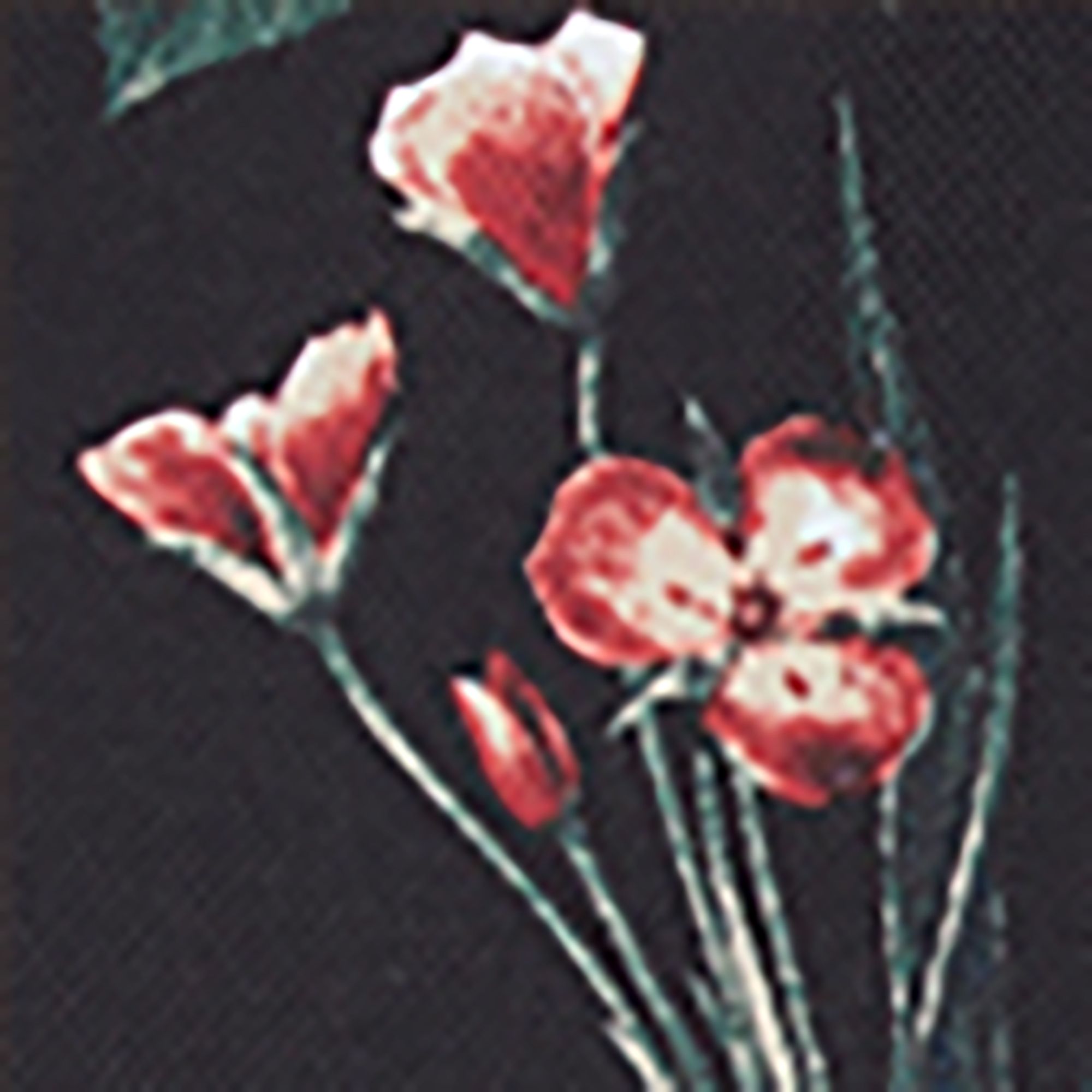 Wildflower
