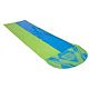 Blue/Lime