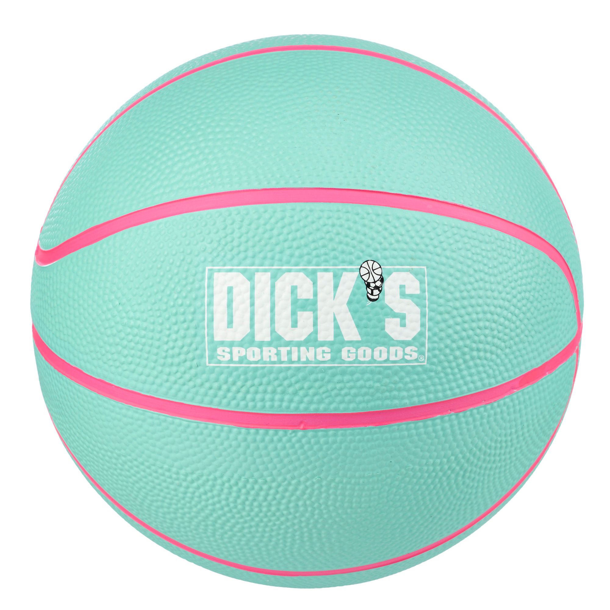 Dick's Sporting Goods Mini Basketball