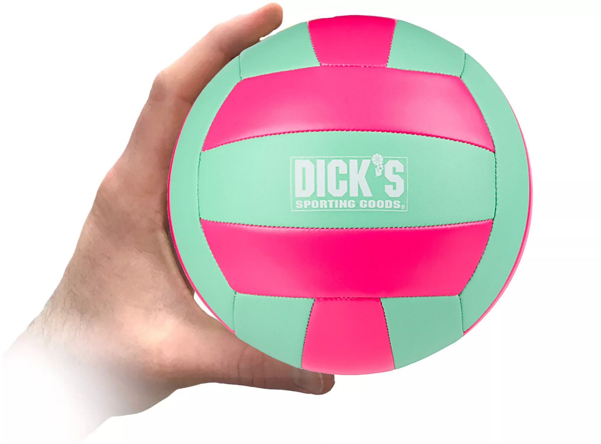 Dick's Sporting Goods Mini Volleyball