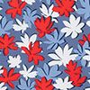 Red/White/Blue