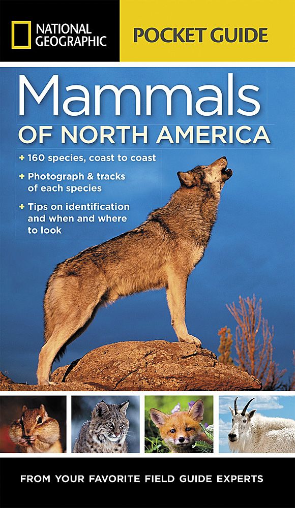 National Geographic Pocket Guide to Mammals of North America