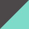 Black/Green
