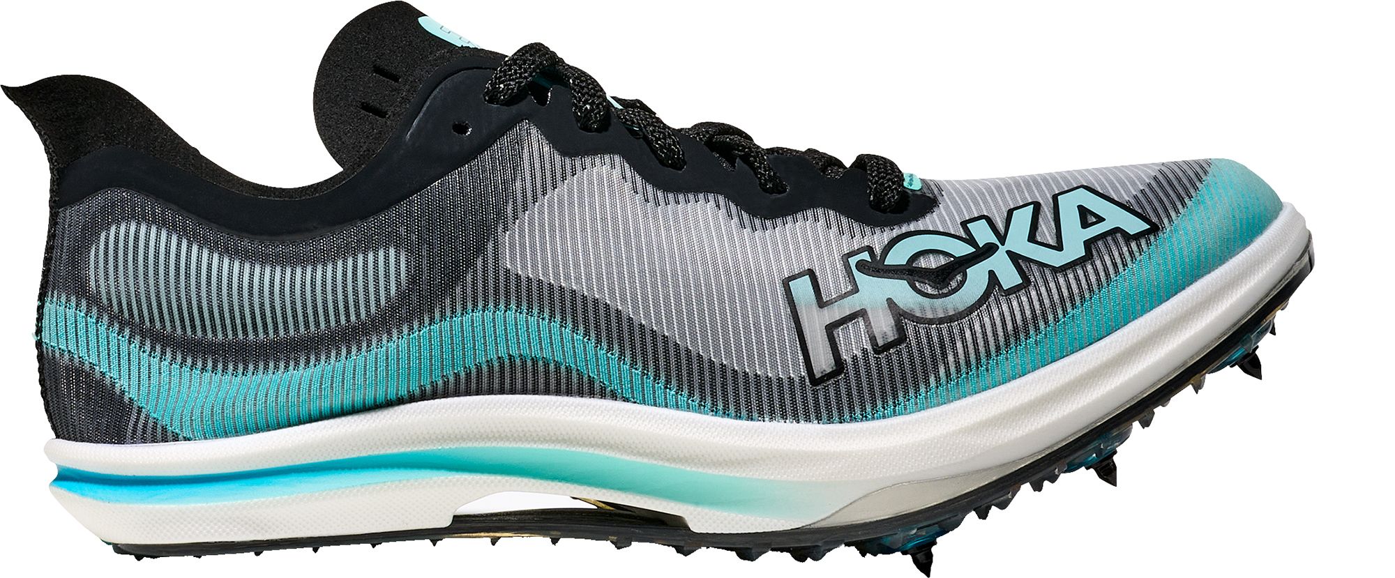 Black/Blue