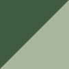 Succulent/Fern