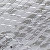 White/White Snake