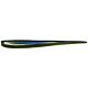 Eel