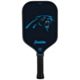 Carolina Panthers