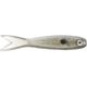Hologram Shad