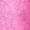 Cherry Blossom