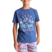 The North Face Boys' Graphic Short Sleeve T-Shirt | Dick's