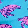 Tortugas