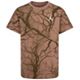 Archaeo Brown