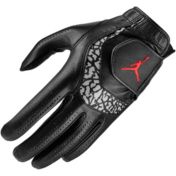 Jordan 2024 Tour Golf Glove | Dick's Sporting Goods