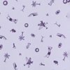 Sights/Rounds Lilac