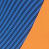 Navy/Saffron