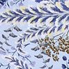 Fern Foliage Faded Blue